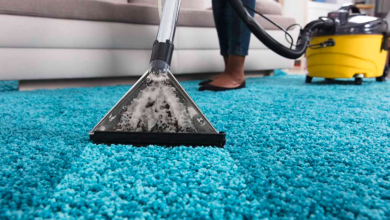 premier carpet cleaning