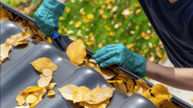 gutter cleaning rochester ny