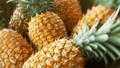 How Does Pineapple Help You Live A Fitter Life?